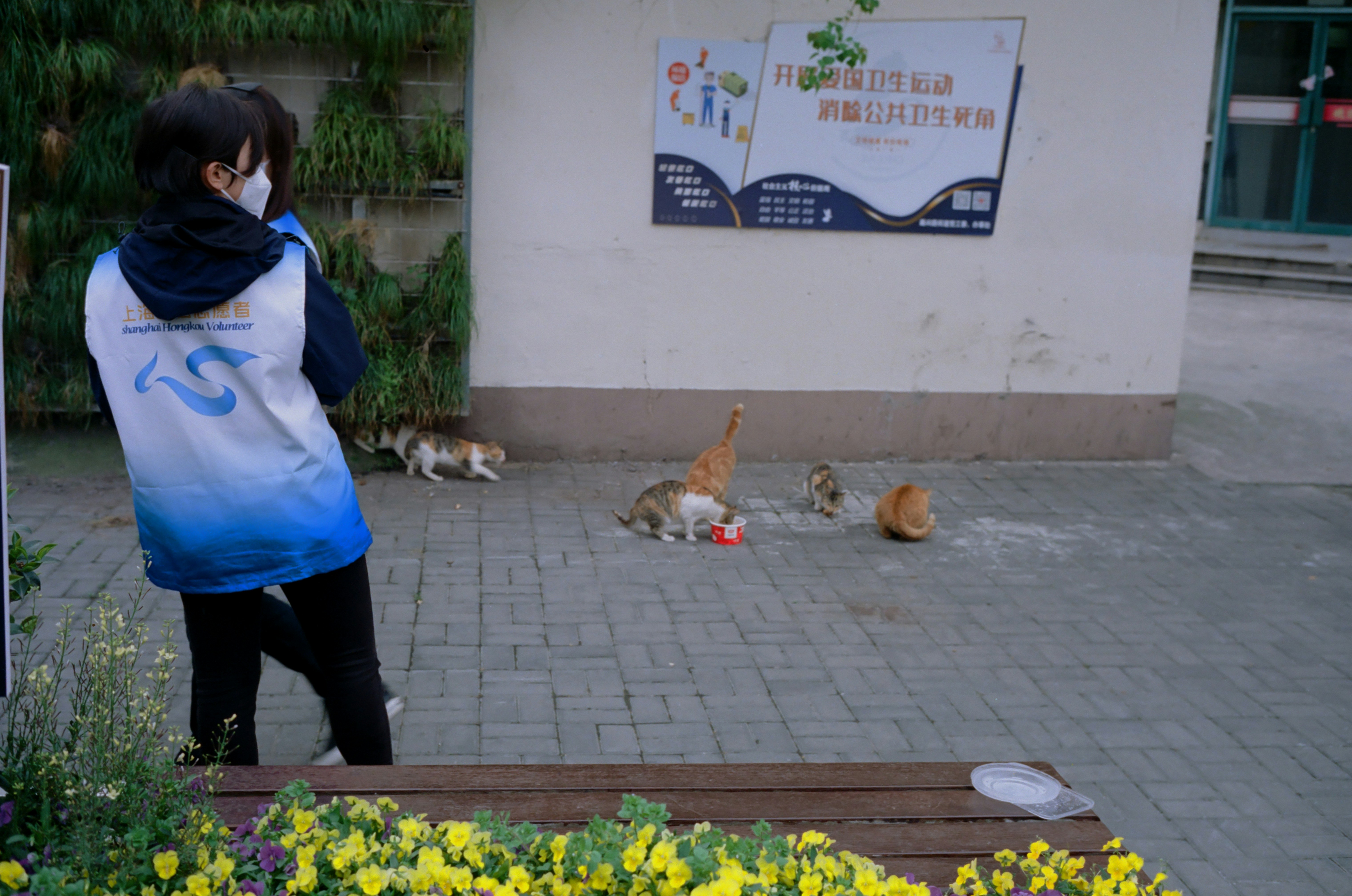 Belediye veteriner hizmetleri desteği